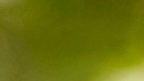 El gobernador Newsom asumió el cargo en 2019. /archivo.