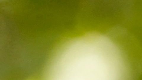 El gobernador Newsom asumió el cargo en 2019. /archivo.