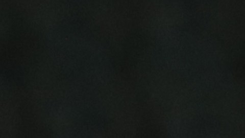 Virgil van Dijk