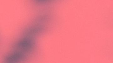 J Balvin responde a las críticas