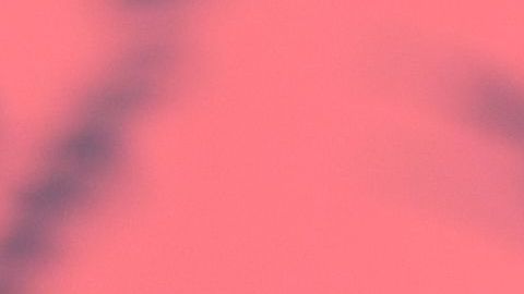 J Balvin responde a las críticas
