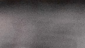 Freddie Highmore se casó en secreto