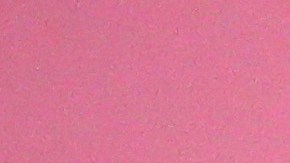 Megan Thee Stallion presume encuentro con BTS y las redes enloquecen