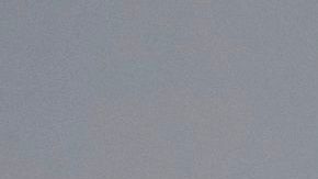 El Servicio Postal de EE.UU. anunció demoras en algunos servicios en octubre.