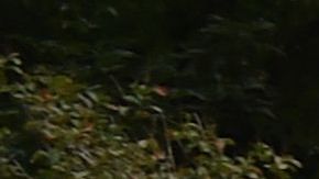 Este martes se conocieron nuevos avances en la investigación de los 43 estudiantes desaparecidos en Iguala en 2014.