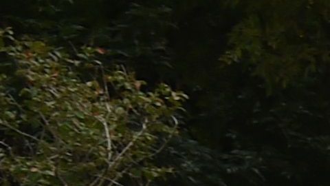 Este martes se conocieron nuevos avances en la investigación de los 43 estudiantes desaparecidos en Iguala en 2014.