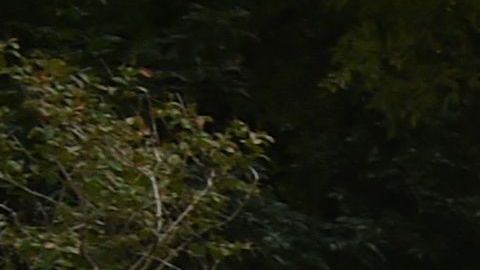 Este martes se conocieron nuevos avances en la investigación de los 43 estudiantes desaparecidos en Iguala en 2014.