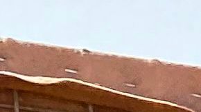 Las fuerzas francesas neutralizaron este miércoles a un líder del Estado Islámico en el Gran Sahara.