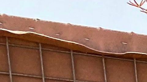 Las fuerzas francesas neutralizaron este miércoles a un líder del Estado Islámico en el Gran Sahara.