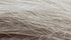 Trump sigue insistiendo en que le robaron las elecciones.