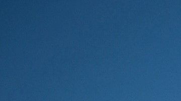 La FWS dijo en un comunicado este miércoles que agotaron todos los esfuerzos durante los últimos tres meses para encontrar a las 23 especies que se declararon extintas.