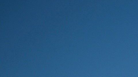 La FWS dijo en un comunicado este miércoles que agotaron todos los esfuerzos durante los últimos tres meses para encontrar a las 23 especies que se declararon extintas.