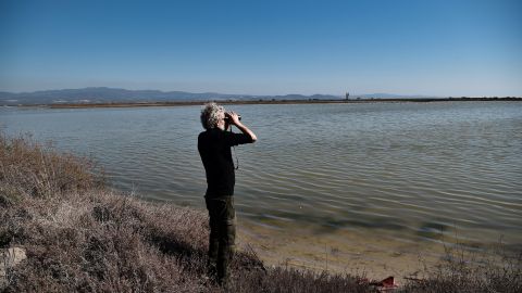 La FWS dijo en un comunicado este miércoles que agotaron todos los esfuerzos durante los últimos tres meses para encontrar a las 23 especies que se declararon extintas.