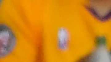 Jonathan dos Santos y Chicharito