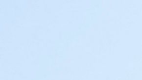 cualquiera con más de 21 años puede portar armas en Texas.