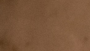 Nancy Pelosi y Chuck Schumer durante un evento público.