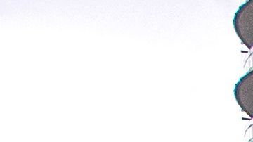 La policía de Miami-Dade arrestó a tres personas por robo de identidad de víctimas de derrumbe en julno.