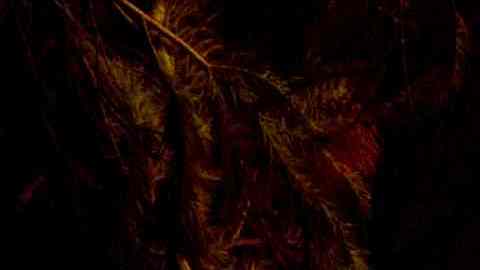 TOPSHOT - A home is engulfed in flames as the Dixie fire rages on in Greenville, California on August 5, 2021. - The largest wildfire in California has razed a small town, warping street lights and destroying historic buildings hours after residents were ordered to flee. Greenville, an Indian Valley settlement of a few hundred people dating back to the mid-1800s Gold Rush, was engulfed by flames as winds whipped the inferno towards the community, turning the sky orange. (Photo by JOSH EDELSON / AFP) (Photo by JOSH EDELSON/AFP via Getty Images)