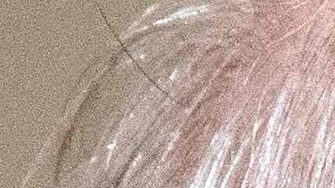 El epidemiólogo de la Casa Blanca, Anthony Fauci, no descartó que una tercera dosis de la vacuna contra el COVID-19 sea aplicada en el futuro.