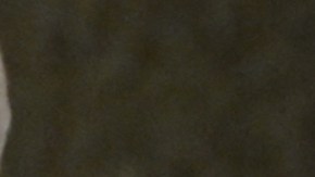 Papa Francisco pide oraciones por los damnificados de la erupción de volcán en Tonga