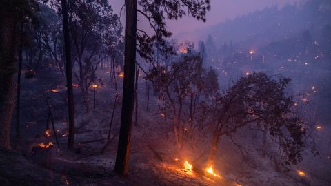 El nuevo incendio en el condado de Shasta creció rápidamente.