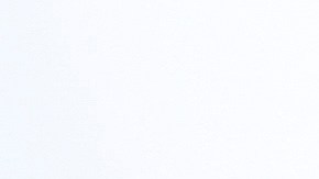 Hay quienes se resisten a cumplir el mandato de vacunas Covid-19.