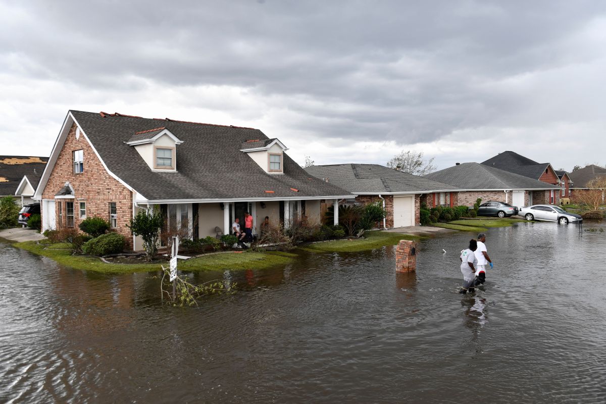 Remains of a man missing during Hurricane Ida found inside an alligator