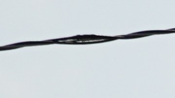 Cómo encontrar ayuda económica tras el paso del huracán Ida-GettyImages-1235042445.jpeg