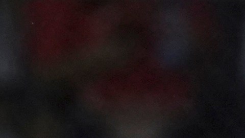 Guillermo Ochoa
