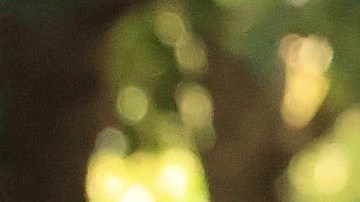 Bill y Hillary Clinton, Barack y Michelle Obama, Joe y Jill Biden, rindieron homenaje a las víctimas del 9/11.