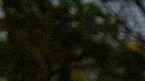 Dos personas demandaron a Alan Braid, el doctor que realizó un aborto en Texas y que lo hizo público desafiando la nueva ley.