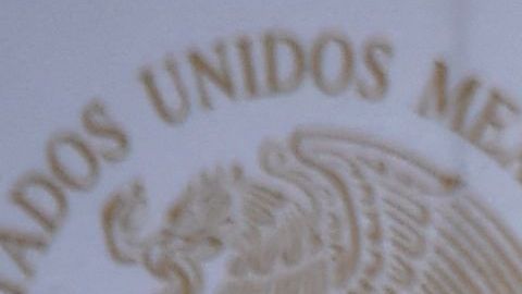 Un senador mexicano acusó a AMLO y a su homólogo cubano, Miguel Díaz-Canel, por defraudar al presupuesto de salud de México durante la pandemia.