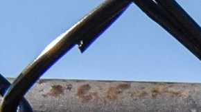 Perfilador dice que Brian Laundrie mostró conductas de abusador doméstico con Petito