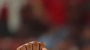 Los Cardinals de St. Louis celebran su clasificación a los playoffs de las Ligas Mayores.