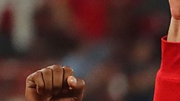 Los Cardinals de St. Louis celebran su clasificación a los playoffs de las Ligas Mayores.