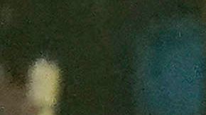 Columbus Crew se convirtió en el segundo equipo de la MLS en levantar el Campeones Cup.