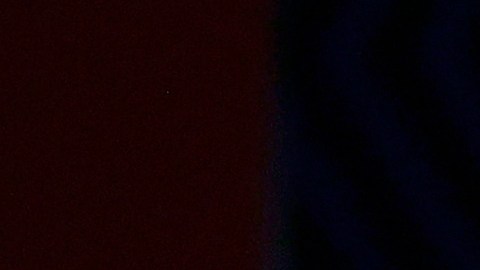 Steveson conquistó la medalla de oro en la categoría de 125 kilogramos de lucha olímpica.