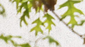 Chipotle presenta un nuevo integrante de su menú: el brisket ahumado-GettyImages-1315209329.jpeg