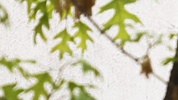 Chipotle presenta un nuevo integrante de su menú: el brisket ahumado-GettyImages-1315209329.jpeg