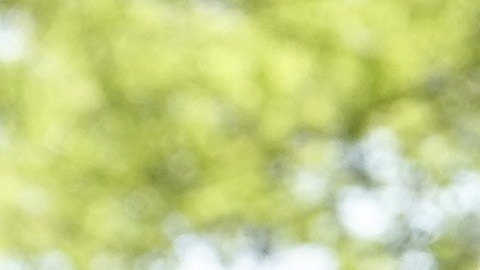 Cómo mejoró la economía de las familias en Estados Unidos con el crédito tributario por hijo