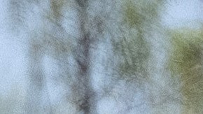 Tres indocumentados fueron detenidos este miércoles por la patrulla fronteriza en Texas por portar pasaportes falsos.