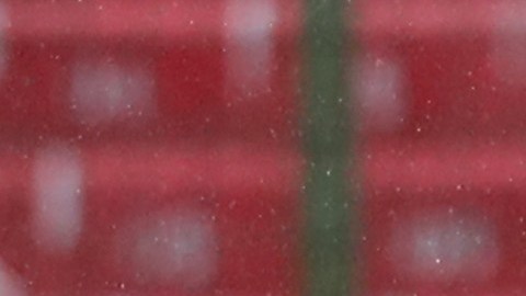 La Tricolor enfrentará a México en junio.