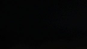 Kamala Harris pide tratar con "dignidad" a los migrantes haitianos.