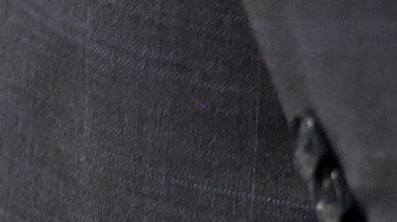 One Betta espera una orden para olfatear el olor de COVID-19 en el Aeropuerto Internacional de Miami.