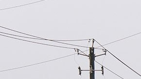 Nicholas se debilita a depresión tropical.