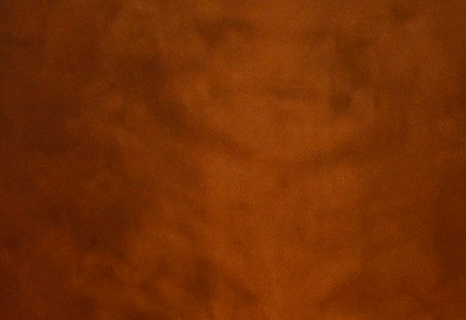 El gobernador Gavin Newsom recibió el respaldo de los votantes californianos.