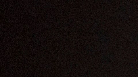 Space X