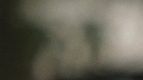 Doscientos migrantes se convirtieron en ciudadanos estadounidenses este viernes en un acto en Nueva York.