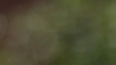 Millones de inmigrantes en EE.UU. reclaman una reforma migratoria que los legalice.