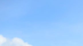 Política migratoria "catch and release" en Florida